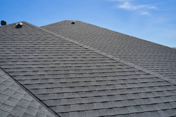 Best Solar Panel Roofing Installation  in Buckingham, FL